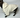 Dog Bathrobe