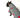 Dog Sweater "Fall in Love"