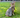 Summer Vibes Dog Sundress