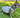 Lulu Dog Sundress