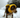 Knitted Yellow Dog Hat