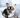 Knitted Powder Dog Hat