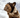 Knitted Brown Dog Hat