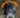 Orange Dog Bucket Hat