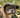 Leopard Dog Bucket Hat