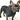 Dog wearing a black raincoat