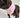 Dog Neck Bow "The Butterfly"