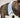 Dog Neck Bow "Mr. Gentlepaw"