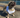 Dog Bow Tank Top
