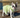 Retro Style Dog Sundress