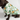 Black dog wearing tropical pineapple print cotton button-up shirt