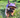 Lavender Dog Bucket Hat