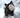 Knitted Black Dog Hat