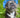 Blue Sheep Print Dog Bucket Hat