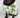 Black dog wearing tropical pineapple print cotton button-up shirt

